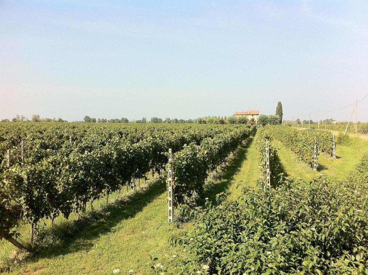 Cascina Tabachera X10 Country House Sirmione Garda Lake Поцоленго Стая снимка